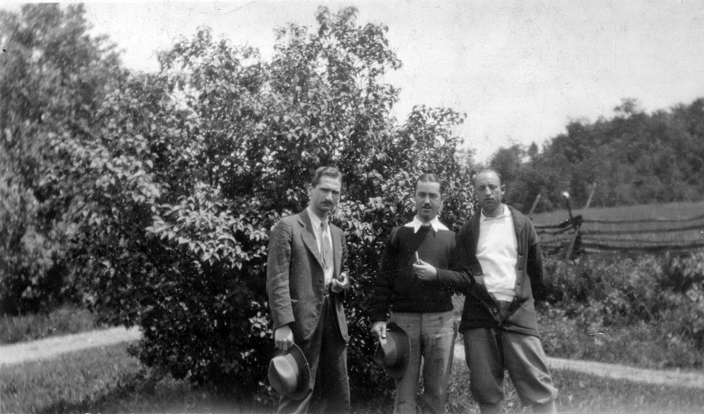 assophot_034_001 (2)